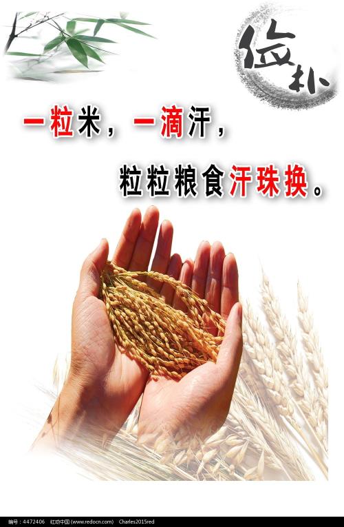 购买萨默塞特艺术科技学院文凭毕业证